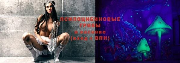 2c-b Коряжма
