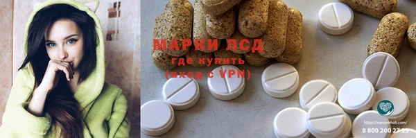 стафф Кодинск