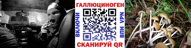 Купить закладки  Дюртюли  Псилоцибиновые грибы MAGIC MUSHROOMS 