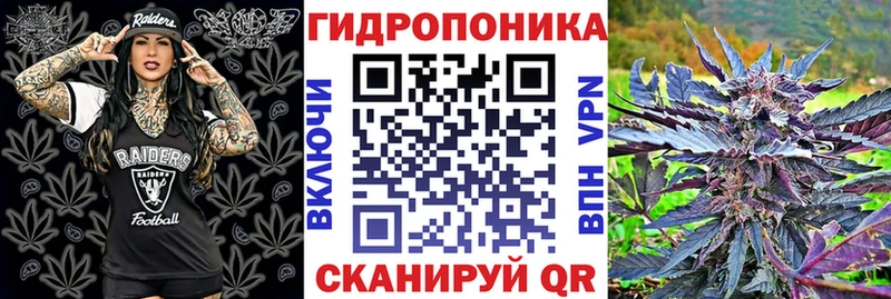 Конопля план  Купить где  Дюртюли 